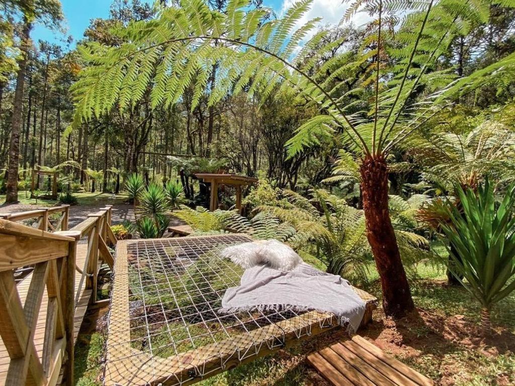 Pousada Anjos Da Serra Urubici Bagian luar foto